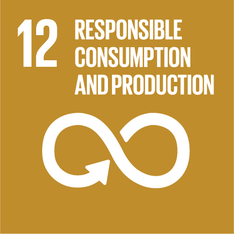 UN Sustainable Development Goal 12: Responsible consumption & production