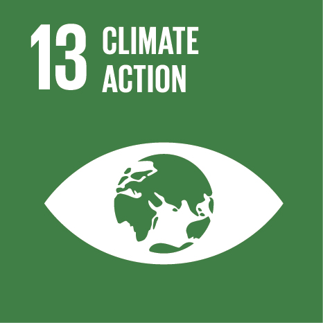 UN Sustainable Development Goal 13: Climate action